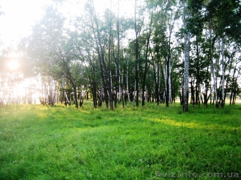 Продам участок в Подгорцах ... - <ro>Изображение</ro><ru>Изображение</ru> #1, <ru>Объявление</ru> #959746