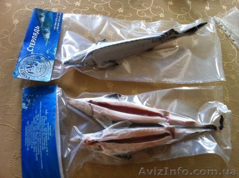  Продам рыбу,Продам рыбу речную,Продам рыбу мороженную-замороженную-свежую, - <ro>Изображение</ro><ru>Изображение</ru> #2, <ru>Объявление</ru> #971080