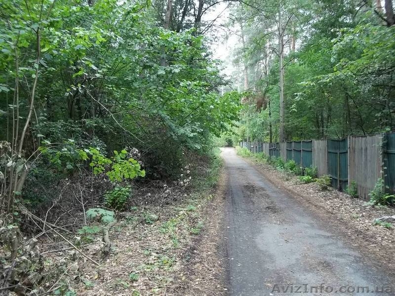 Если уж земля - то в Пуще-Водице - <ro>Изображение</ro><ru>Изображение</ru> #2, <ru>Объявление</ru> #974911