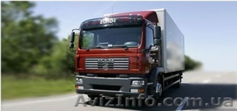 Грузоперевозки по Украине и Европе  - <ro>Изображение</ro><ru>Изображение</ru> #7, <ru>Объявление</ru> #978468