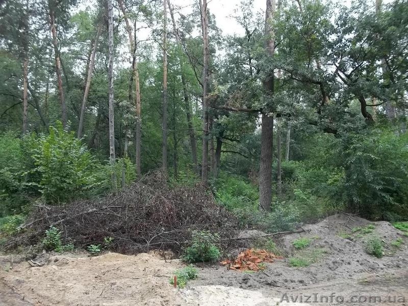 Если уж земля - то в Пуще-Водице - <ro>Изображение</ro><ru>Изображение</ru> #3, <ru>Объявление</ru> #974911