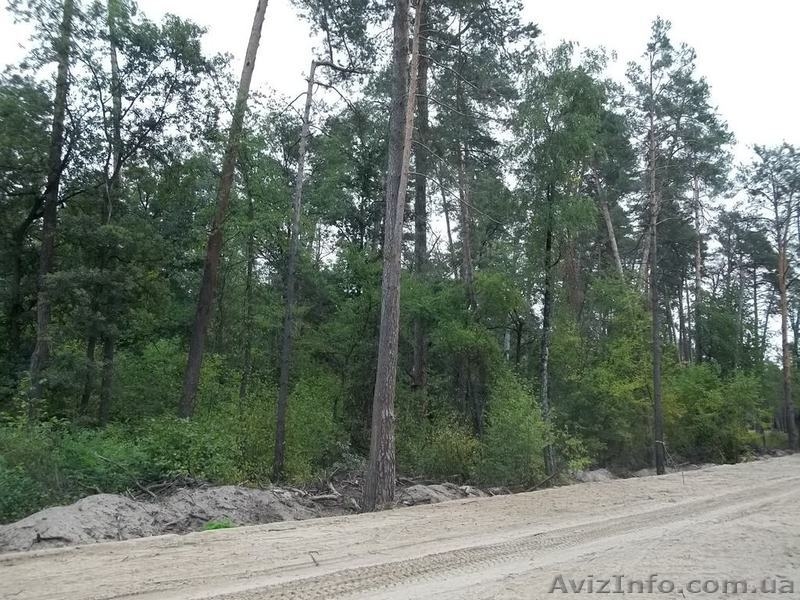 Если уж земля - то в Пуще-Водице - <ro>Изображение</ro><ru>Изображение</ru> #4, <ru>Объявление</ru> #974911