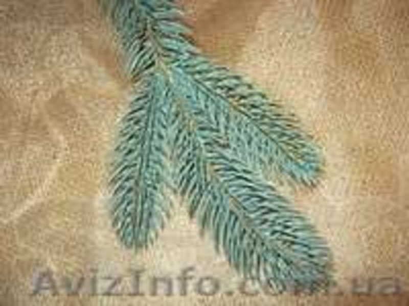 Продам искусственные ветки ели и хвои - <ro>Изображение</ro><ru>Изображение</ru> #4, <ru>Объявление</ru> #985300