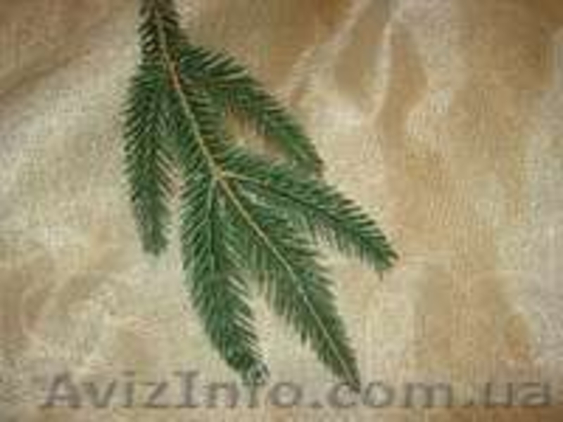 Продам искусственные ветки ели и хвои - <ro>Изображение</ro><ru>Изображение</ru> #5, <ru>Объявление</ru> #985300