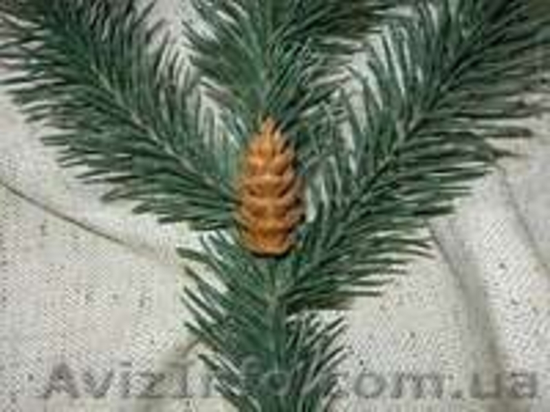 Продам искусственные ветки ели и хвои - <ro>Изображение</ro><ru>Изображение</ru> #1, <ru>Объявление</ru> #985300