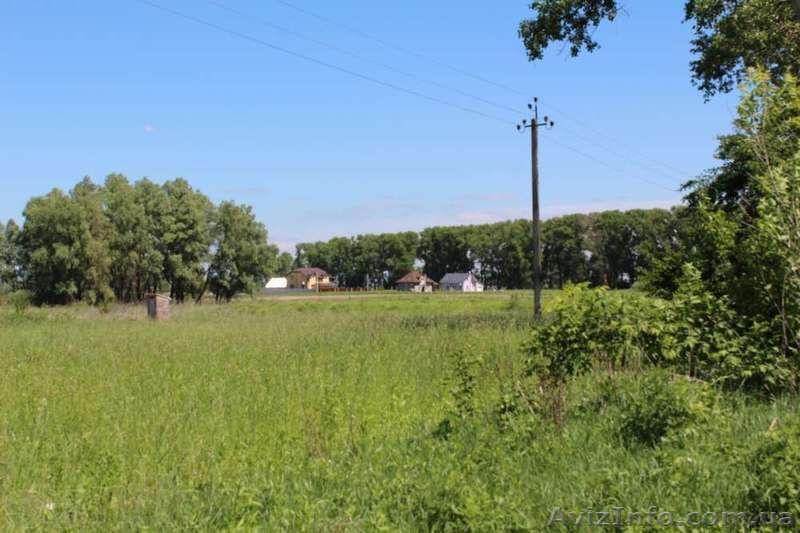 Продаю земельный участок под застройку в с. Требухов Броварского района - <ro>Изображение</ro><ru>Изображение</ru> #2, <ru>Объявление</ru> #978277