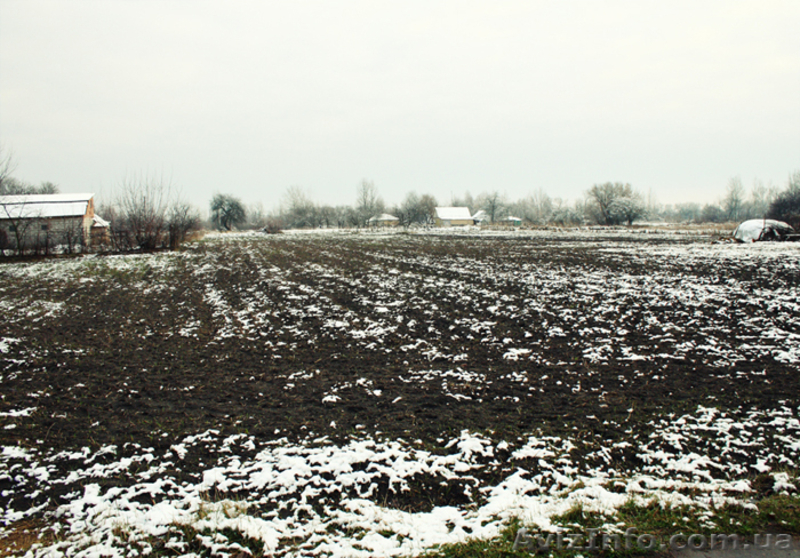 Ухоженный участок под постройку и посадку! - <ro>Изображение</ro><ru>Изображение</ru> #1, <ru>Объявление</ru> #972584