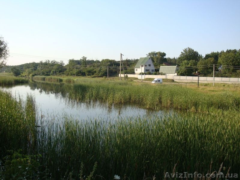 Посуточно сдам дачу в лесу (г Украинка) - <ro>Изображение</ro><ru>Изображение</ru> #1, <ru>Объявление</ru> #982374