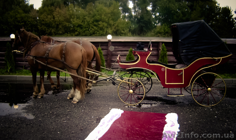 Аренда шикарных карет на ваше торжество - <ro>Изображение</ro><ru>Изображение</ru> #3, <ru>Объявление</ru> #978221