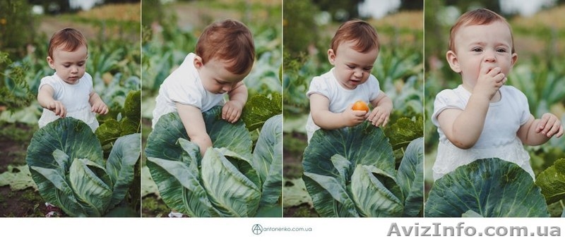 Фотограф Андрей Антоненко! - <ro>Изображение</ro><ru>Изображение</ru> #4, <ru>Объявление</ru> #972576