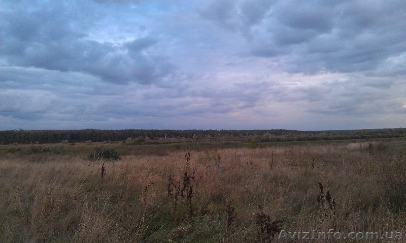  Земельный участок, 10 км от Киева, недорого - <ro>Изображение</ro><ru>Изображение</ru> #1, <ru>Объявление</ru> #972254