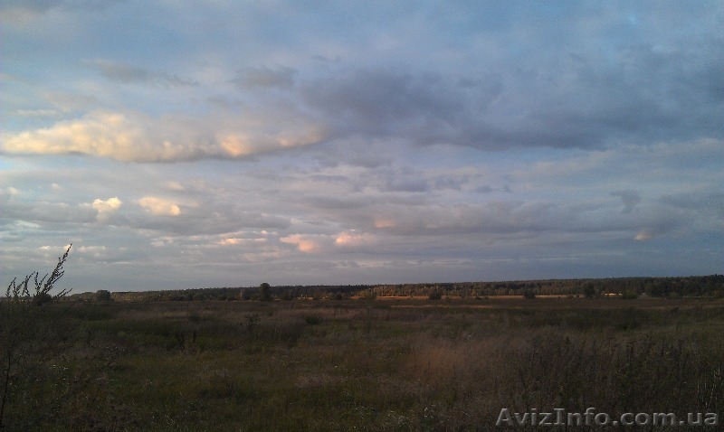  Земельный участок, 10 км от Киева, недорого - <ro>Изображение</ro><ru>Изображение</ru> #2, <ru>Объявление</ru> #972254