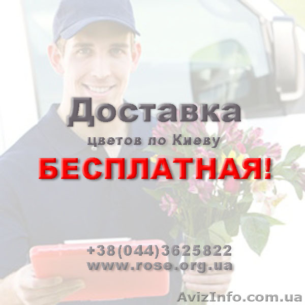 Доставка роз киев недорого. Розы купить киев. Бесплатная доставка роз на дом - <ro>Изображение</ro><ru>Изображение</ru> #2, <ru>Объявление</ru> #980593