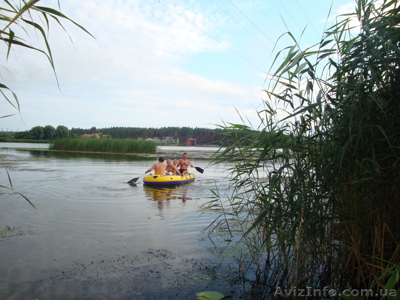 Посуточно сдам дачу в лесу (г Украинка) - <ro>Изображение</ro><ru>Изображение</ru> #3, <ru>Объявление</ru> #982374