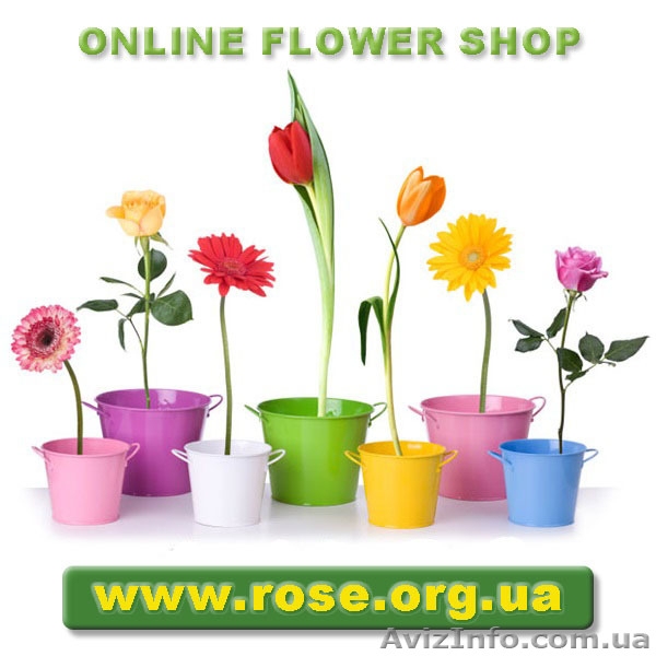 Доставка роз киев недорого. Розы купить киев. Бесплатная доставка роз на дом - <ro>Изображение</ro><ru>Изображение</ru> #3, <ru>Объявление</ru> #980593