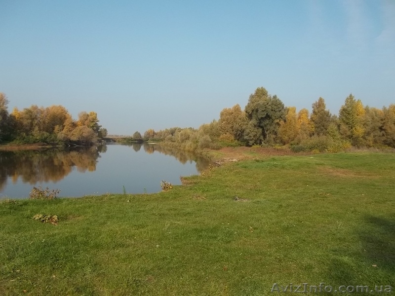 Убежище на берегу речки - <ro>Изображение</ro><ru>Изображение</ru> #6, <ru>Объявление</ru> #976694