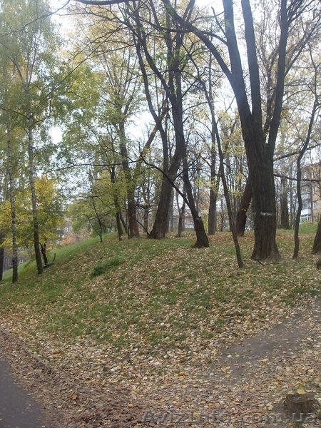 2х комнатная 60кв.м. Соломенка - <ro>Изображение</ro><ru>Изображение</ru> #2, <ru>Объявление</ru> #981160