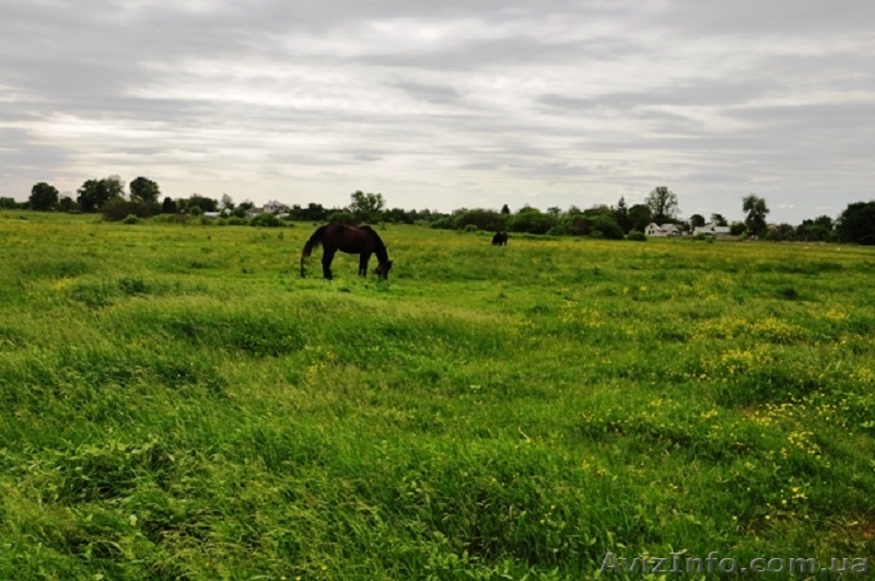 Рогозов - 10 соток за 2950$ в 35 км от Киева! - <ro>Изображение</ro><ru>Изображение</ru> #5, <ru>Объявление</ru> #988813