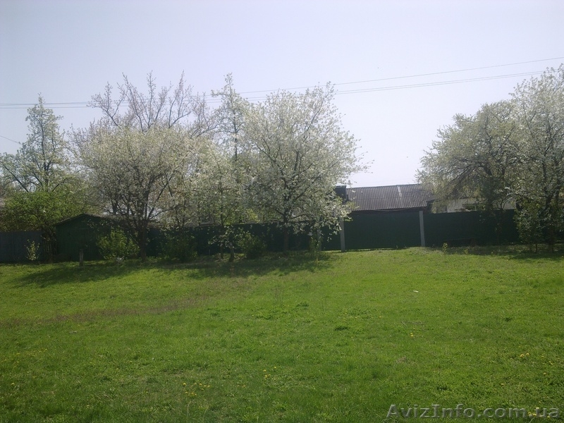 приватизированные дом, сад, огород (0,25га) на широкой улице - <ro>Изображение</ro><ru>Изображение</ru> #5, <ru>Объявление</ru> #991926