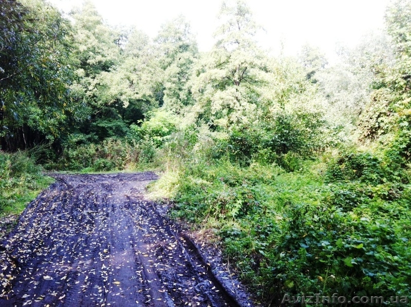 Отличные участки от 15 соток в с. Вишенки( Гнедин)! - <ro>Изображение</ro><ru>Изображение</ru> #1, <ru>Объявление</ru> #988810