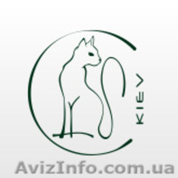 Кейтеринг в Киеве - <ro>Изображение</ro><ru>Изображение</ru> #1, <ru>Объявление</ru> #995068