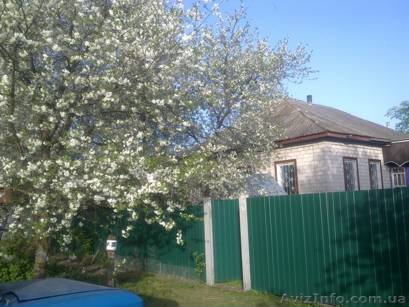 приватизированные дом, сад, огород (0,25га) на широкой улице - <ro>Изображение</ro><ru>Изображение</ru> #1, <ru>Объявление</ru> #991926