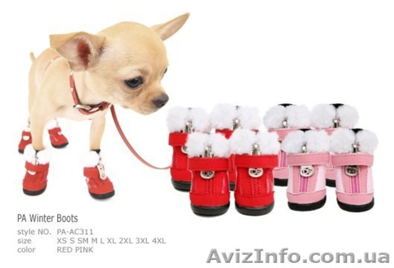 GLAMOURDOG гламурная одежда для собак - <ro>Изображение</ro><ru>Изображение</ru> #3, <ru>Объявление</ru> #989874