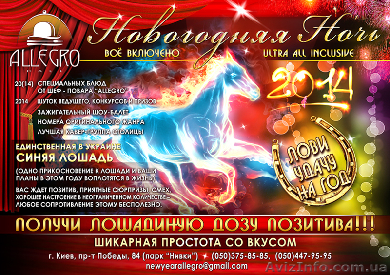 Новый год в Аллегро-Холл - <ro>Изображение</ro><ru>Изображение</ru> #1, <ru>Объявление</ru> #1005777