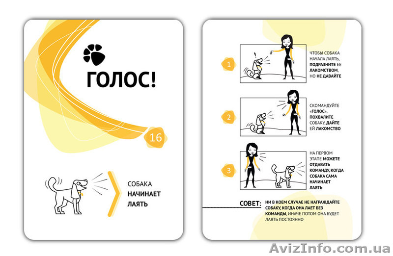 Карточки для дрессировки собак - карманный самоучитель! - <ro>Изображение</ro><ru>Изображение</ru> #1, <ru>Объявление</ru> #1013803