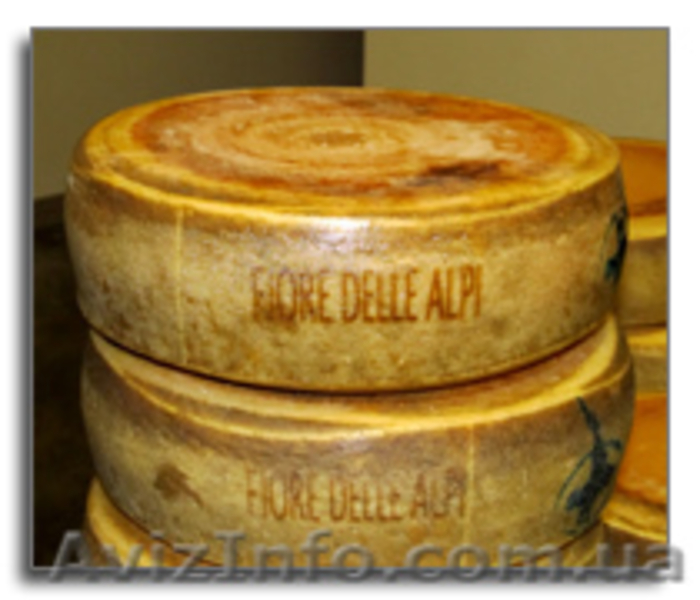 Лучшие сыры в вине, в сенном жмыхе, в кофе, в красном вине из Италии. Опт,  - <ro>Изображение</ro><ru>Изображение</ru> #1, <ru>Объявление</ru> #1003579