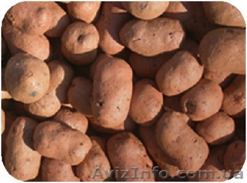 Керамзит в мешках, с доставкой по Киеву и Области - <ro>Изображение</ro><ru>Изображение</ru> #3, <ru>Объявление</ru> #1010015