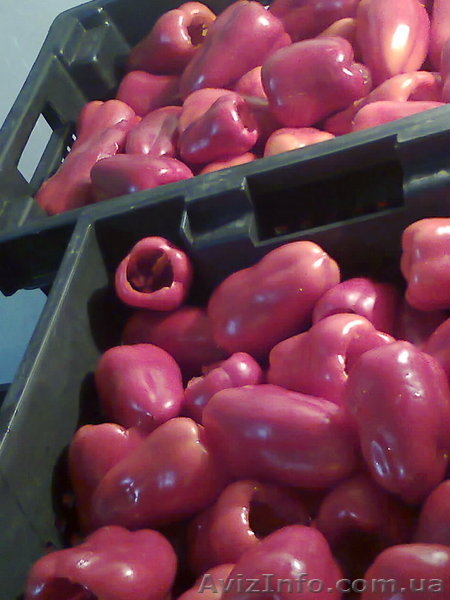 Продам замороженный красный перец - <ro>Изображение</ro><ru>Изображение</ru> #3, <ru>Объявление</ru> #1011874