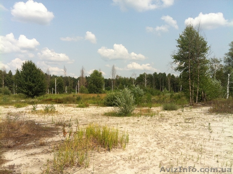 Участки по 25 соток под строительство жилого дома - <ro>Изображение</ro><ru>Изображение</ru> #1, <ru>Объявление</ru> #1021662