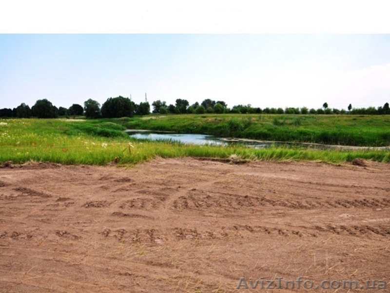 Дачные участки, с.Процев, Бориспольский р-н - <ro>Изображение</ro><ru>Изображение</ru> #1, <ru>Объявление</ru> #1021659
