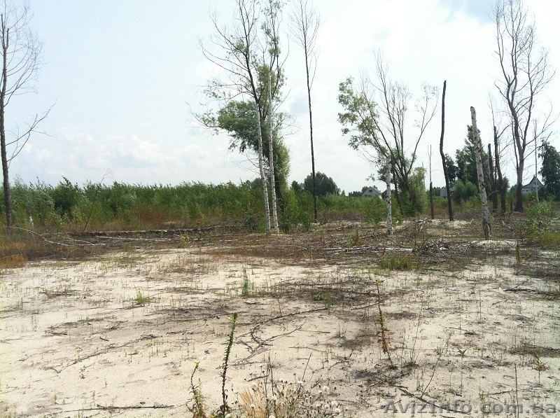 Участки по 25 соток под строительство жилого дома - <ro>Изображение</ro><ru>Изображение</ru> #3, <ru>Объявление</ru> #1021662