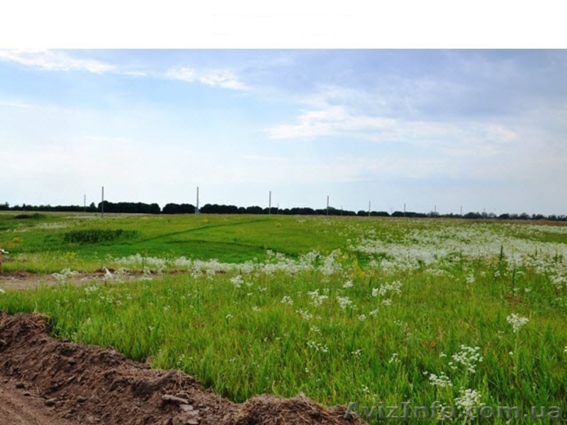 Дачные участки, с.Процев, Бориспольский р-н - <ro>Изображение</ro><ru>Изображение</ru> #3, <ru>Объявление</ru> #1021659