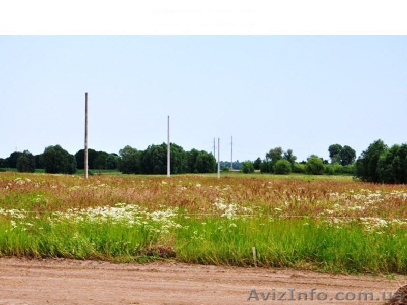 Дачные участки, с.Процев, Бориспольский р-н - <ro>Изображение</ro><ru>Изображение</ru> #4, <ru>Объявление</ru> #1021659