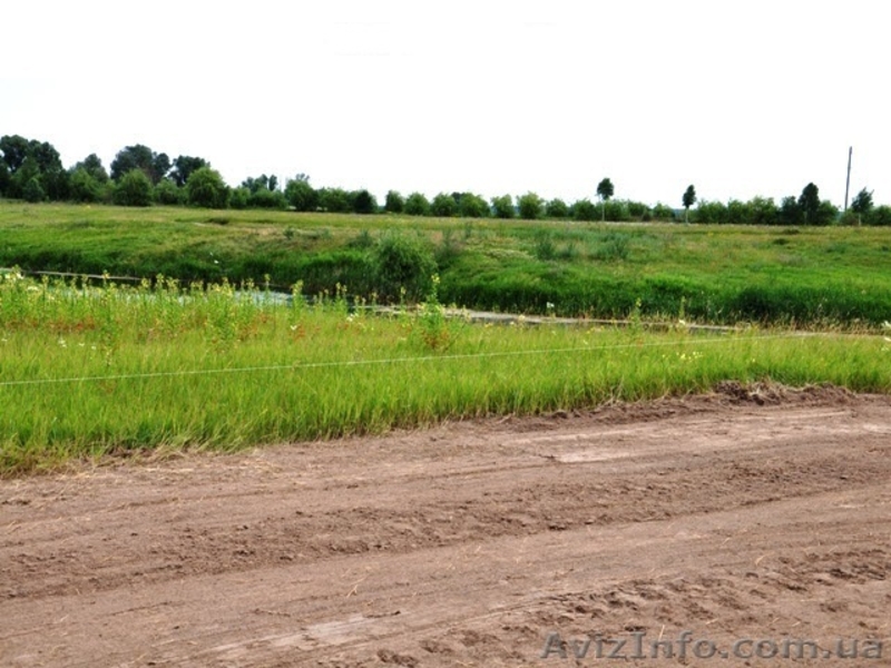 Дачные участки, с.Процев, Бориспольский р-н - <ro>Изображение</ro><ru>Изображение</ru> #5, <ru>Объявление</ru> #1021659