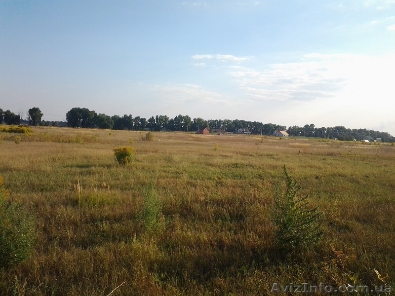 Продажа дачных бюджетных земельных участков - <ro>Изображение</ro><ru>Изображение</ru> #1, <ru>Объявление</ru> #1019692