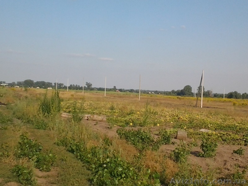 Продажа дачных бюджетных земельных участков - <ro>Изображение</ro><ru>Изображение</ru> #2, <ru>Объявление</ru> #1019692