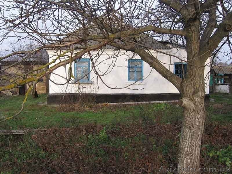 Срочно продам дом и участок земли в с.Ревное Бориспольского района - <ro>Изображение</ro><ru>Изображение</ru> #1, <ru>Объявление</ru> #1027646