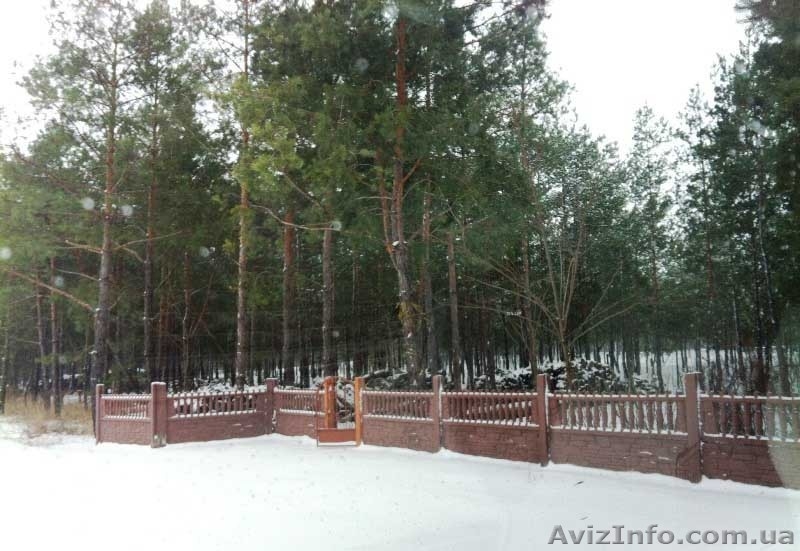 Продажа элитных живописных земельных участков  - <ro>Изображение</ro><ru>Изображение</ru> #2, <ru>Объявление</ru> #1026440