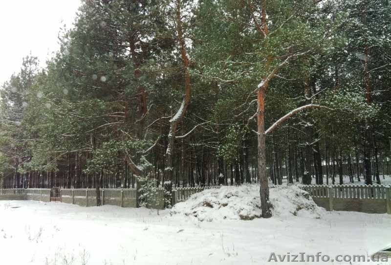 Продажа элитных живописных земельных участков  - <ro>Изображение</ro><ru>Изображение</ru> #3, <ru>Объявление</ru> #1026440