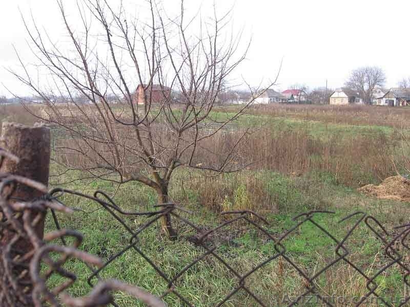 Срочно продам дом и участок земли в с.Ревное Бориспольского района - <ro>Изображение</ro><ru>Изображение</ru> #4, <ru>Объявление</ru> #1027646