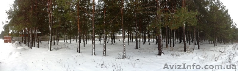 Продажа элитных живописных земельных участков  - <ro>Изображение</ro><ru>Изображение</ru> #5, <ru>Объявление</ru> #1026440