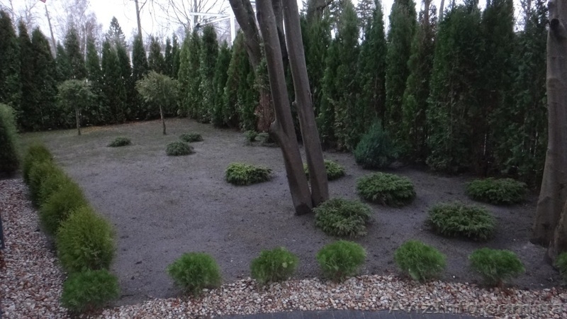 Апартаменты в Юрмале. Майори. Под ВНЖ в Латвии. - <ro>Изображение</ro><ru>Изображение</ru> #9, <ru>Объявление</ru> #1020101