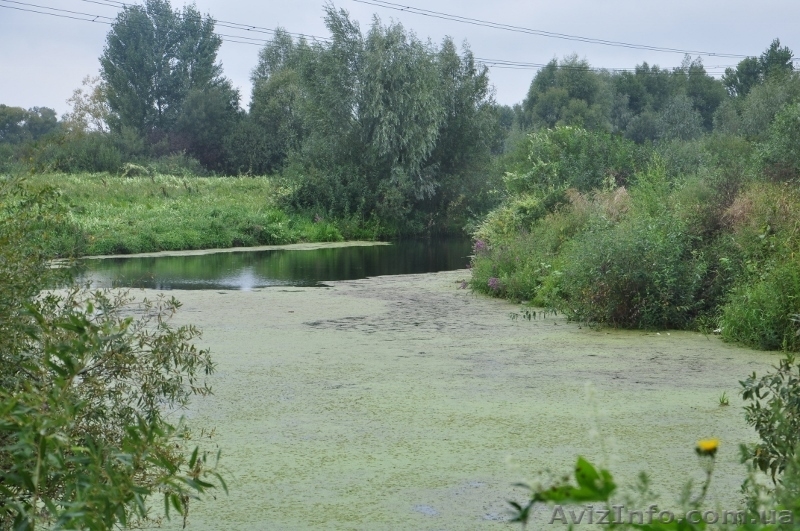 Продам участок в Бортничах - <ro>Изображение</ro><ru>Изображение</ru> #6, <ru>Объявление</ru> #1019010