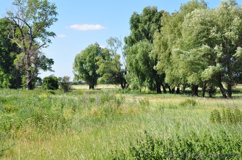 Земельный участок, Лениновка - <ro>Изображение</ro><ru>Изображение</ru> #2, <ru>Объявление</ru> #1019008