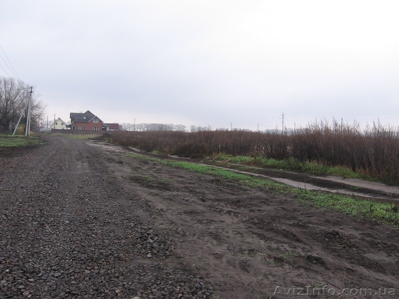 Продам участок в Борисполе - <ro>Изображение</ro><ru>Изображение</ru> #1, <ru>Объявление</ru> #1019679