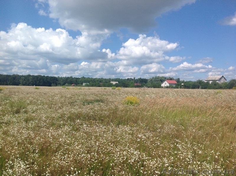 Продам участки, с.Кирово Бориспольский р-н - <ro>Изображение</ro><ru>Изображение</ru> #2, <ru>Объявление</ru> #1019012